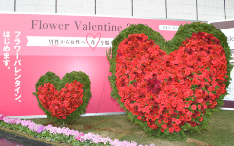 キングカズも推奨！ バレンタインは男性から女性に花束を！ フラワーバレンタイン　イベント開催