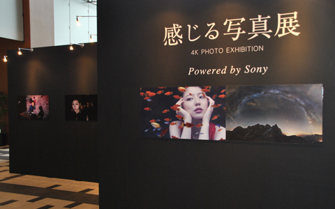 驚異の映像美！　映像革命の究極的4Kテレビで長澤まさみ、真木よう子らの写真展開催