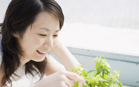 自宅でも簡単！　酵素シロップ作りを体験しよう