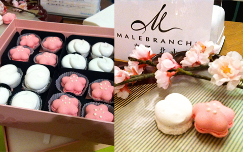 新しい美が体験できる！ 1日限定のイベント「TOKYO BEAUTY CRUSING」レポート