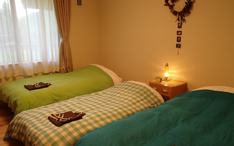 感度高め女子に人気の、森林セラピーとは