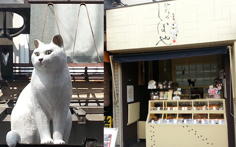 のんびり気ままな、ネコのベストショットを撮影できるテクとは？