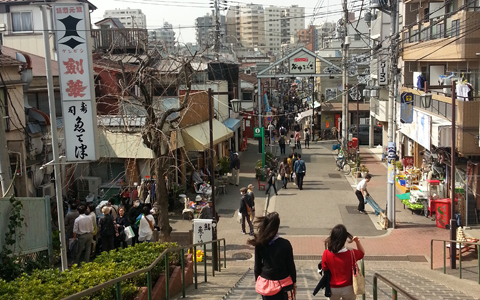 のんびり気ままな、ネコのベストショットを撮影できるテクとは？