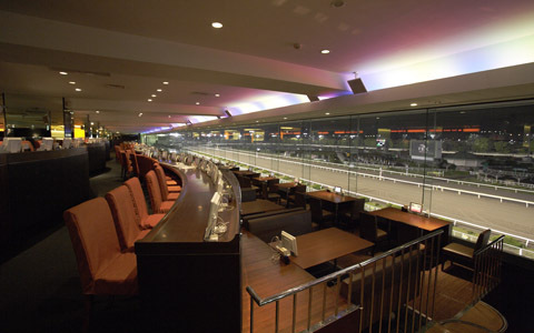 【プレゼントあり】大好評第2弾！ おいしい料理と優雅な空間で、競馬を見ながらリッチな女子会♪