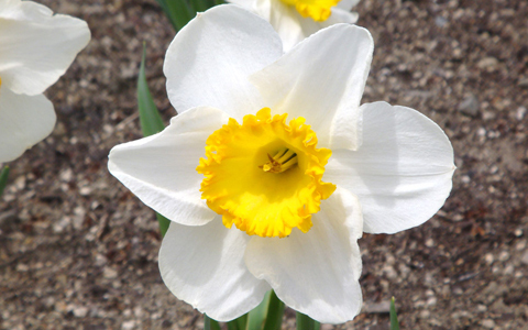 春！ 飲み会！ これさえ守れば太らない！ スゴ技公開