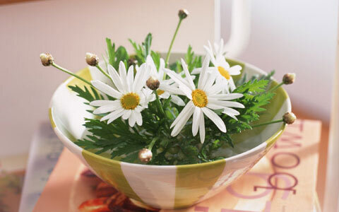 新年度、失敗しない職場の処世術【新入社員編】