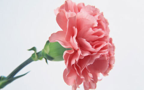 今すぐあなたも愛され体質になる！ 意外と簡単な3つの方法