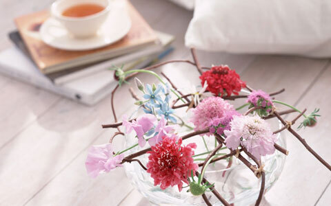 白黒好きはモテないって知っていた？  Dr. コパ伝授、モテインテリア術