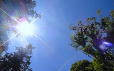 一年中で一番危険！ 初夏の紫外線対策