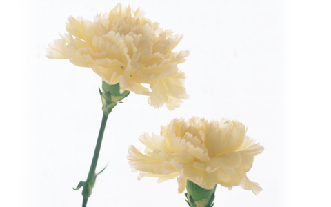 五月病なんて怖くない！ チェックリストと克服法