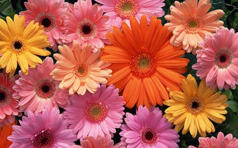 ダイヤモンドは原石から磨け！ 必ず幸せにしてくれる年下彼の見つけ方