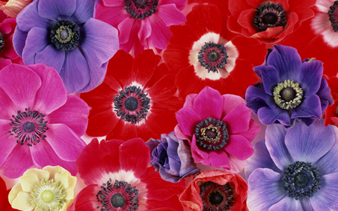 運命の人がベストとは限らない。最良のパートナーの見つけ方とは？