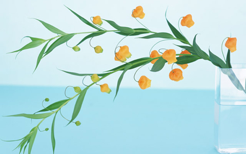 簡単時短で美肌宣言、多忙でも簡単3つのケア教えます