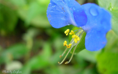 開運パワー丸どり、プチ旅に出かけて新緑でパワーチャージ