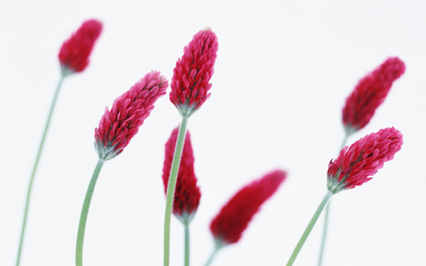 知っておきたい、生理が来ない、遅れる理由