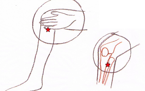 飲みすぎ、二日酔に効く！ 簡単マッサージとは？