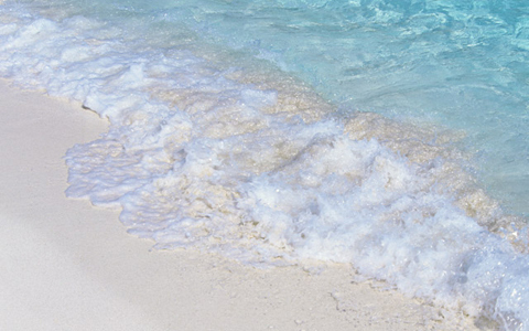 今年の夏は、話題のダイオウイカを見て、ディープな経験をしてみては？