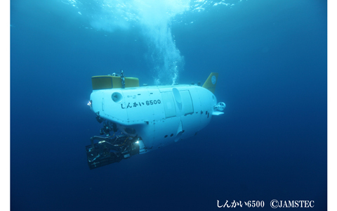 今年の夏は、話題のダイオウイカを見て、ディープな経験をしてみては？