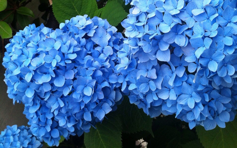 梅雨に開運＆パワーチャージ、二つのスゴ技とは？