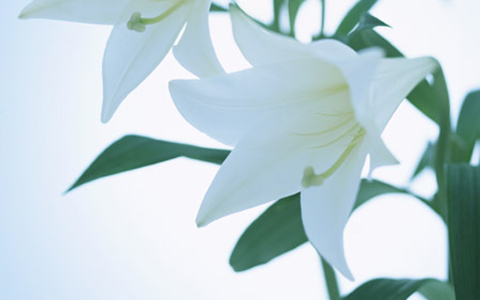 自己診断は危険、婦人科検診のススメ