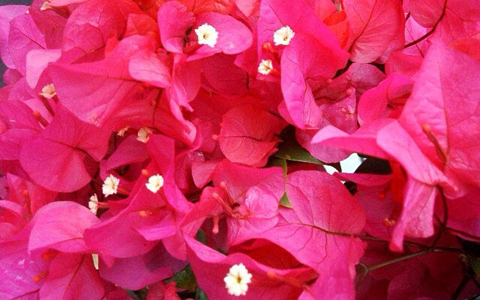 実践・冬花流数秘術「今年の大開運期到来、カギは行動力」