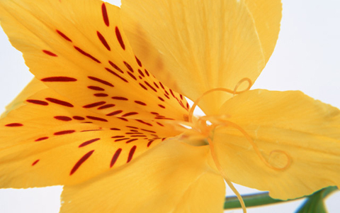 ひと夏の恋で終わらせない、成就する3つの心得