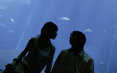 恋愛の神様、ぐっどうぃる博士に聞く「私の悩み、どうしたらいい？ 」カップル篇