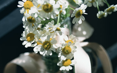 夏バテ、冷房からカラダを守れ！ 2つのセルフメンテ術