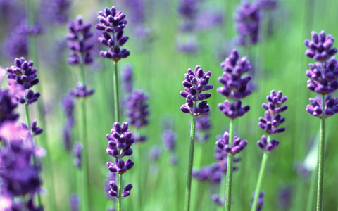 今の彼は運命の人？ 見極める3つの診断テスト【パート2】