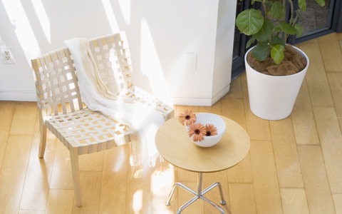 身体が不調なら部屋のここをチェック！ Dr.コパ伝授「劇的健康改善術」