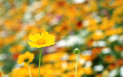 不安と焦りは9月病？ 年内を10倍楽しく過ごす3つの処方箋