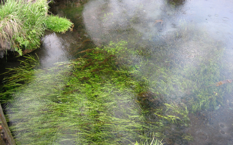 人気の富士山でパワー充電「楽々プチハイキングのススメ」