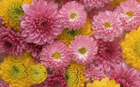 人気の富士山でパワー充電「楽々プチハイキングのススメ」