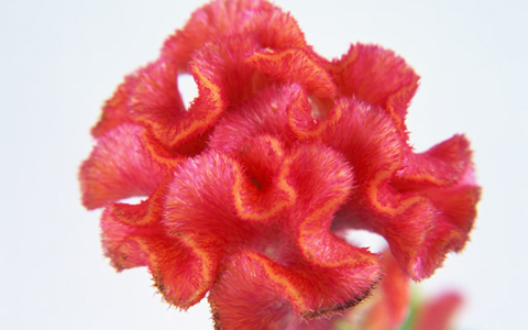 髪の毛こそ日焼けでダメージ、秋すぐにしたいスペシャルケア