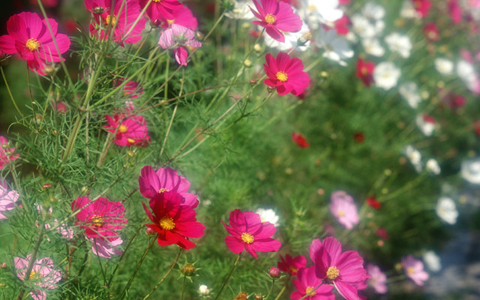 数秘術で知る、あなたから仕掛ける恋愛攻略ワザ【後編】