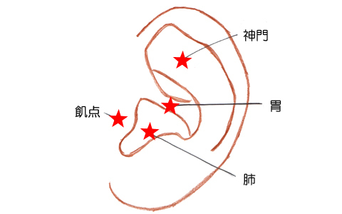 食欲の秋、簡単に食欲をコントロールする方法