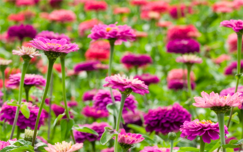 秋の味覚を堪能しながら痩せる3つのポイント