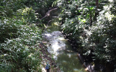 「等々力不動尊」世田谷の縁結びパワースポット参拝のコツ