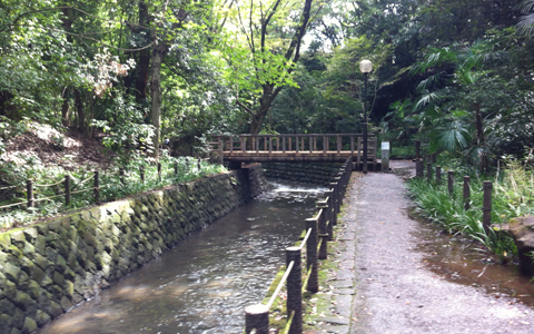 「等々力不動尊」世田谷の縁結びパワースポット参拝のコツ