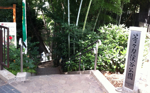 「等々力不動尊」世田谷の縁結びパワースポット参拝のコツ