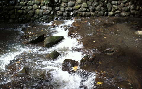 「等々力不動尊」世田谷の縁結びパワースポット参拝のコツ