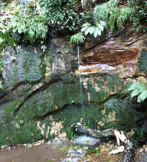 「等々力不動尊」世田谷の縁結びパワースポット参拝のコツ