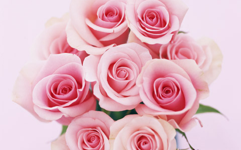 クリスマス前に彼をゲット？ オトコを落とす心理テク3つ