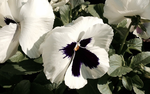 こうすれば風邪引かない？ 多忙な年末を元気に乗り切る方法4つ