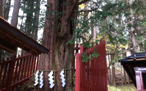 世界遺産、日光二荒山神社中宮祠で勝ち運をあやかる“勝活”