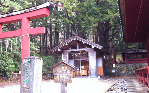 世界遺産、日光二荒山神社中宮祠で勝ち運をあやかる“勝活”