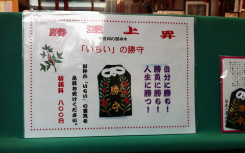 世界遺産、日光二荒山神社中宮祠で勝ち運をあやかる“勝活”