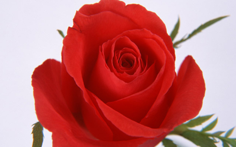 ネイルで幸運をつかむ開運術