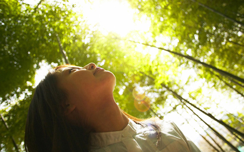 忙しい年末に大活躍の、屋久島産アロマオイル