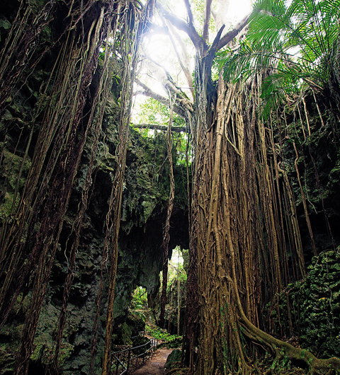 沖縄に行ったら絶対行きたい、沖縄最高峰の聖地＆パワースポット